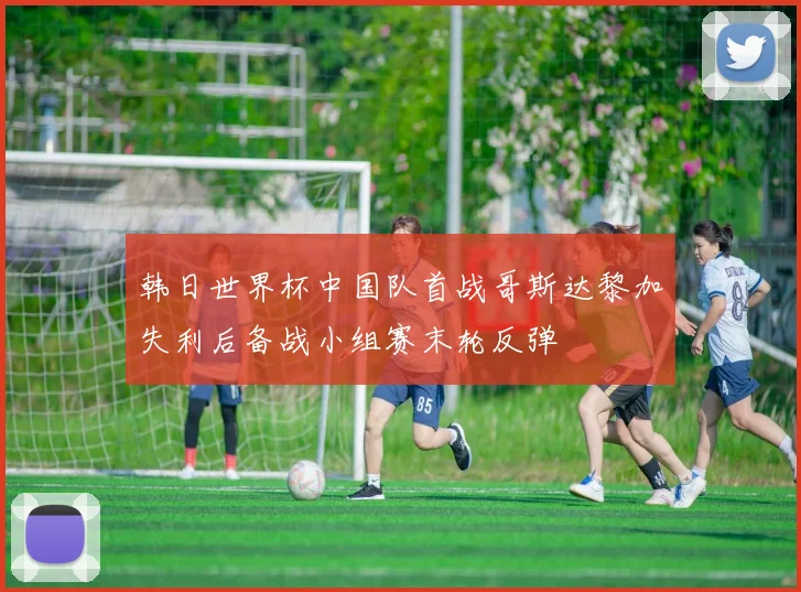 韩日世界杯中国队首战哥斯达黎加失利后备战小组赛末轮反弹