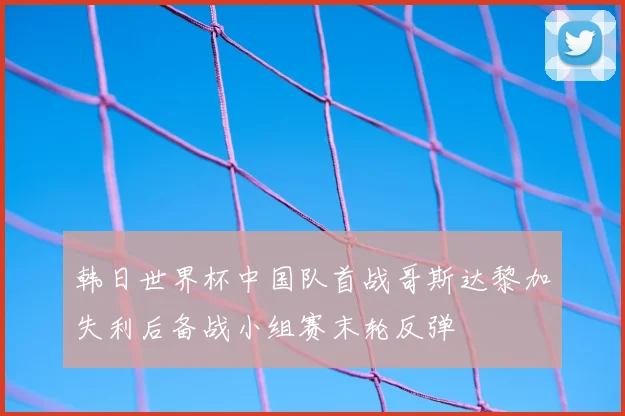 韩日世界杯中国队首战哥斯达黎加失利后备战小组赛末轮反弹